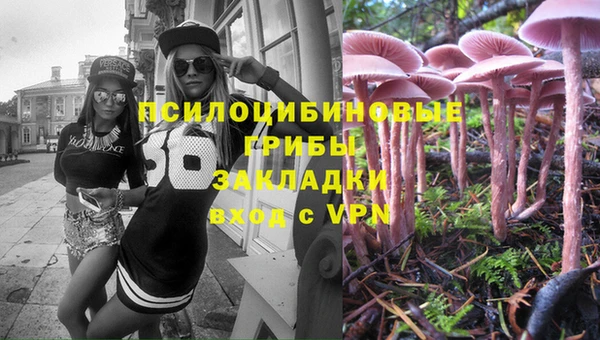 a pvp Арсеньев