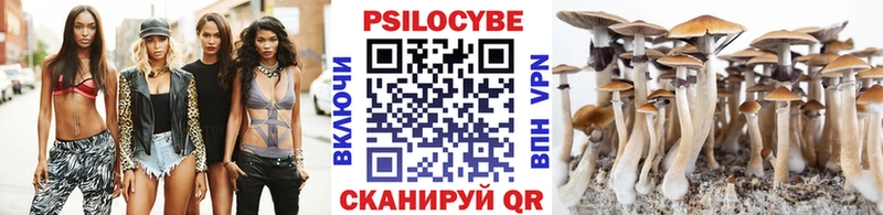 Псилоцибиновые грибы Psilocybine cubensis  Починок 